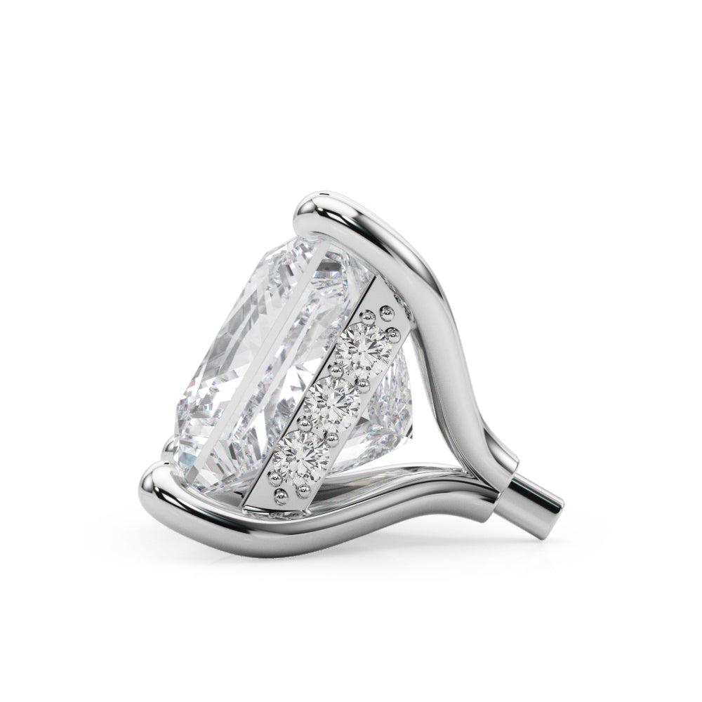 Hidden Halo Head Princess Cut